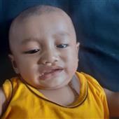 Gấu
