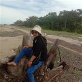 Saiy