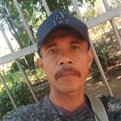 Bản