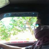 Dự b