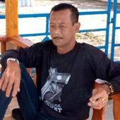Trực