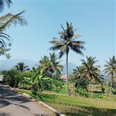Cuộc