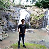 Trực