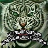 đườn