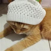 Lịc