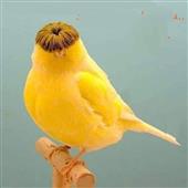 Đón