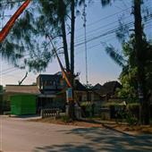 Tổn