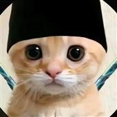 Soi