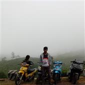 Kỳ Q
