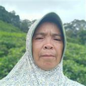 Dạo 