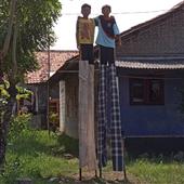 Trự