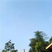 Hợp 