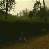 Kèo 