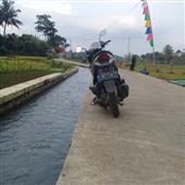 Ngộ 