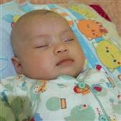 trận