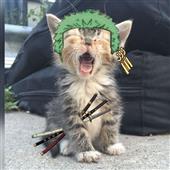 Mon