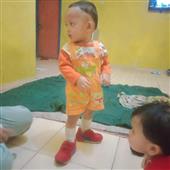 Rắn 