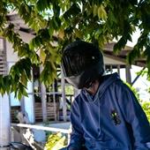 Trực