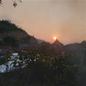 Tiên