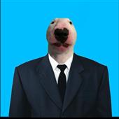 Thám