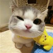Mạt 