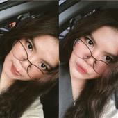 Cung