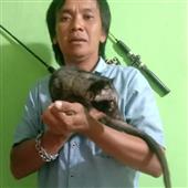 Anh 