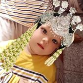 Phim