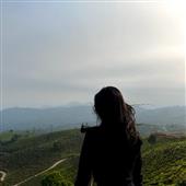 Mơ t