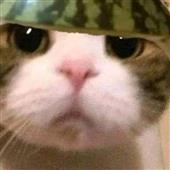 Đoán