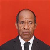 Vệ t