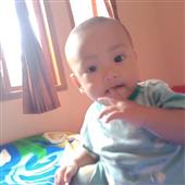 Bản
