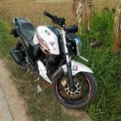 Luật