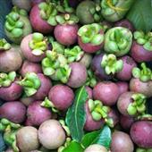 Cuốn