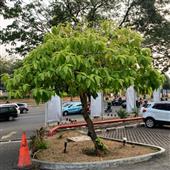 Bảng