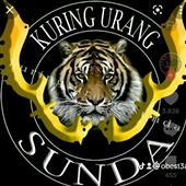Rồng