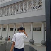 Mẹo