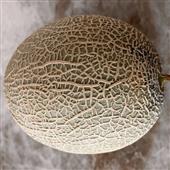 nữ 