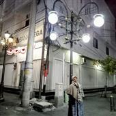 Dự b