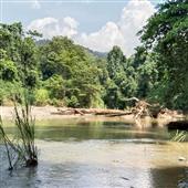 Thỏ 