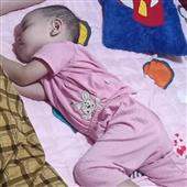 GẤU 