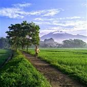 Lịc