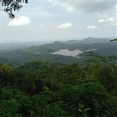 Chiế