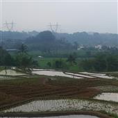 Chơi