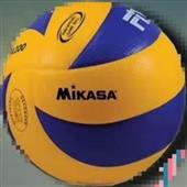 Miya