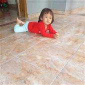 Poin
