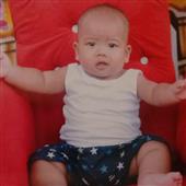 Cung