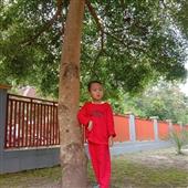 Chỉ