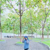 Trực