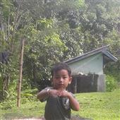 Liên